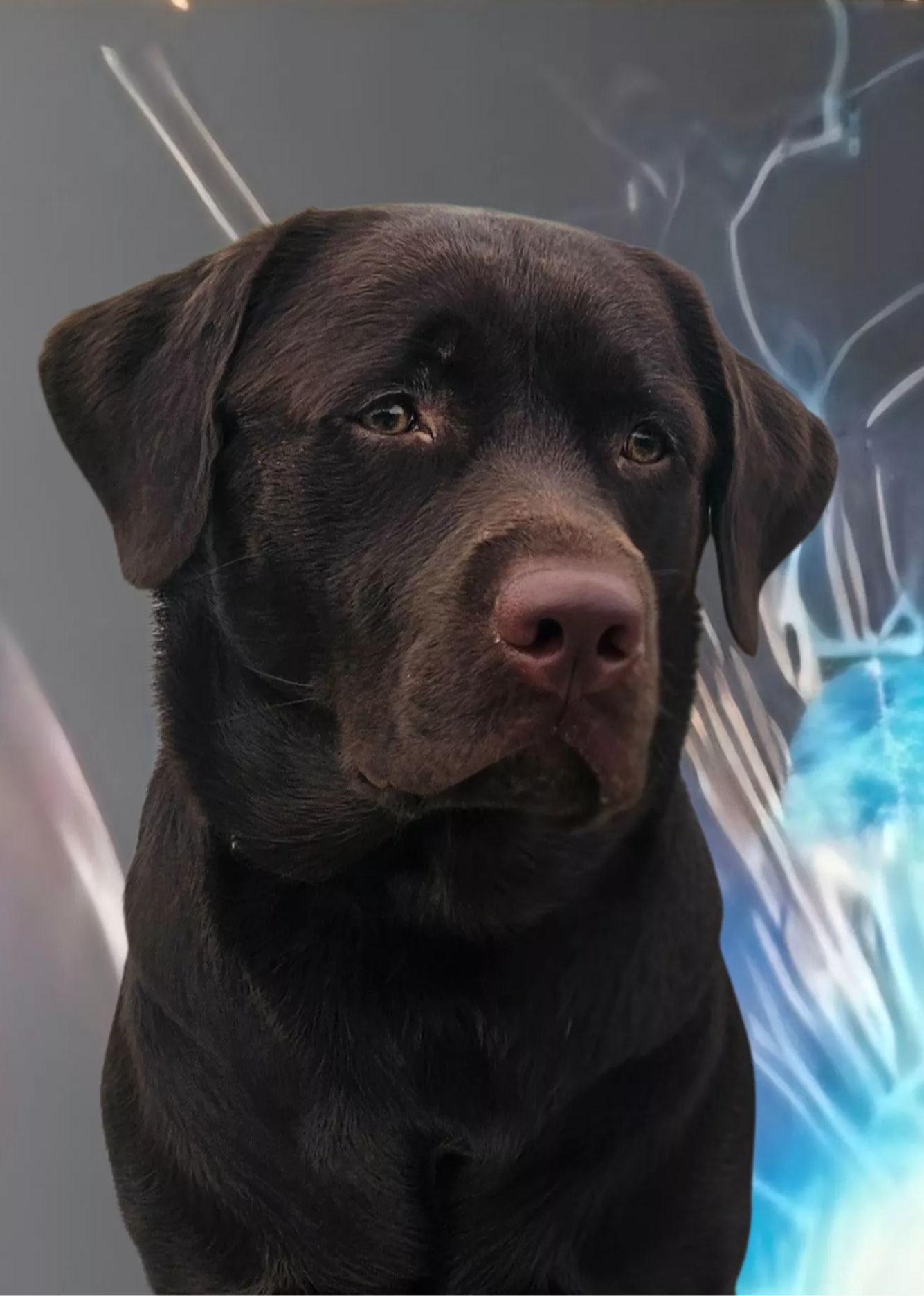 Bruno